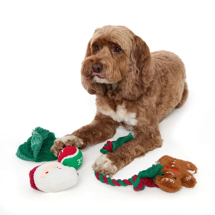 5 Piece Dog Toy Set