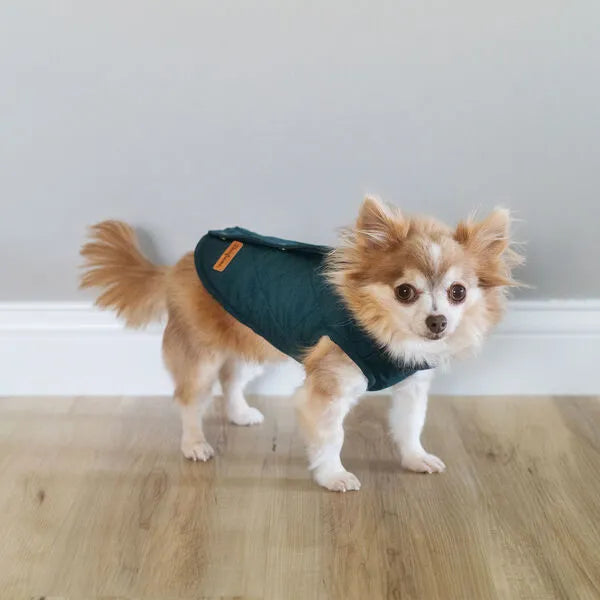 Quilted Barn Dog Jacket